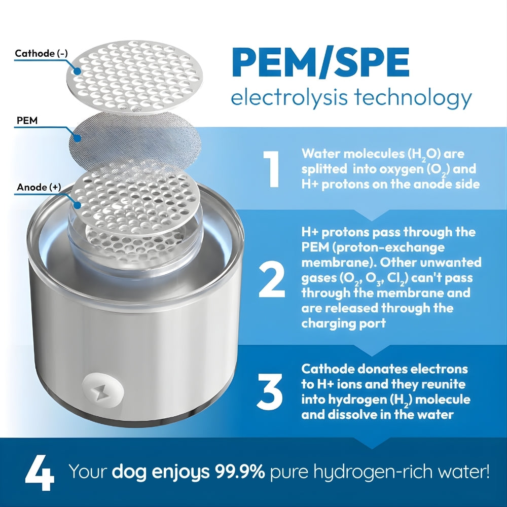 FluxPets™ Hydrogen Water System