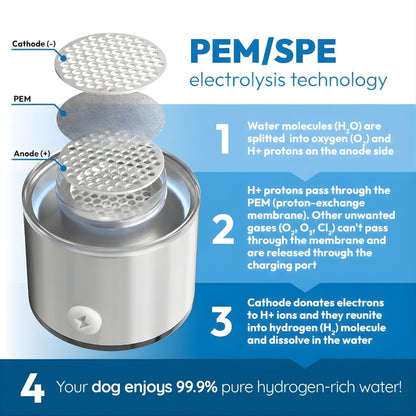 FluxPets™ Hydrogen Water System