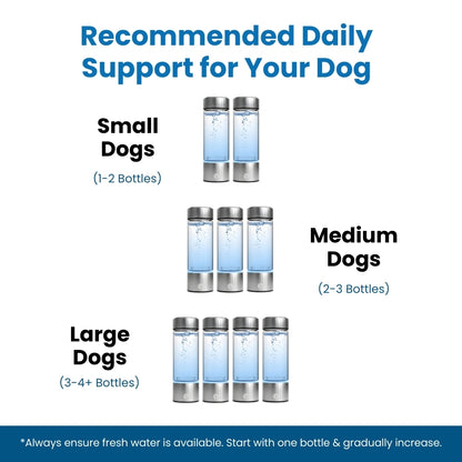 FluxPets™ Hydrogen Water System